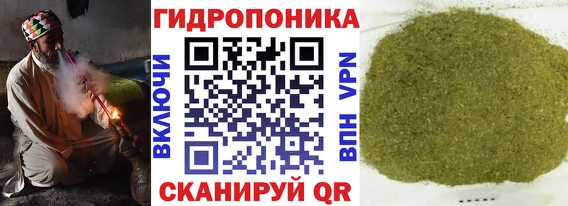 Купить закладку Дмитриев СОЛЬ  ГАШИШ  Каннабис  Cocaine 