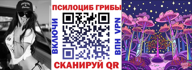купить  цена  Дмитриев  Галлюциногенные грибы Psilocybine cubensis 